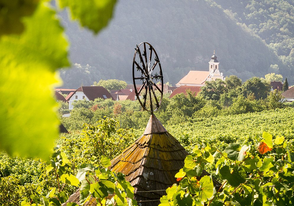 Wösendorf (Foto: Georg Netter)