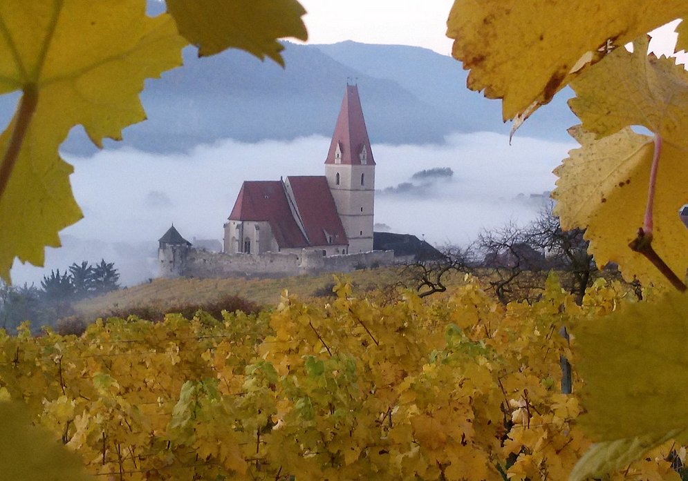 Weissenkirchen/Wachau (photo: Rainer Machherndl)