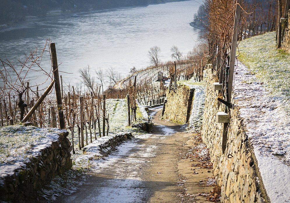 panorama path Achleiten (photo : Alexander Pfeffel - photography.pfeffel.at)