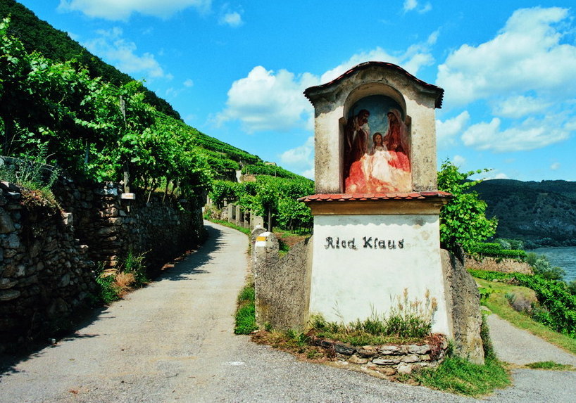 Ried Klaus (Foto: Weingut Jamek)