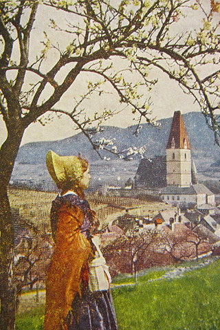 Postkarte, Frühling in Weißenkirchen, Foto: Lichtbildstelle der NÖ Landesregierung